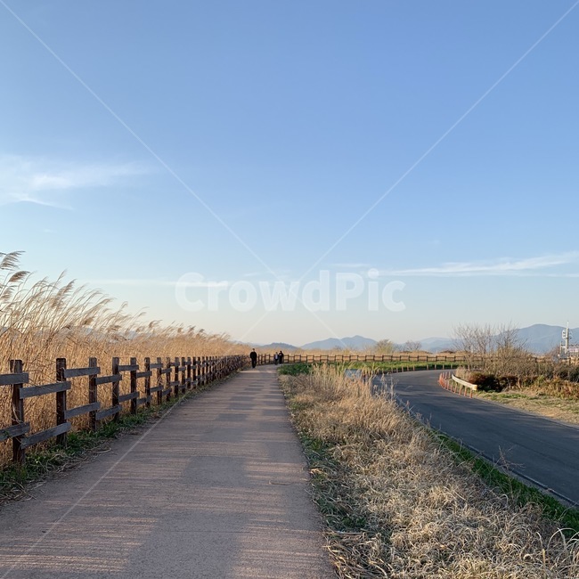 노을,봄,하늘,갈대,갈대길,시골,산책,풍경