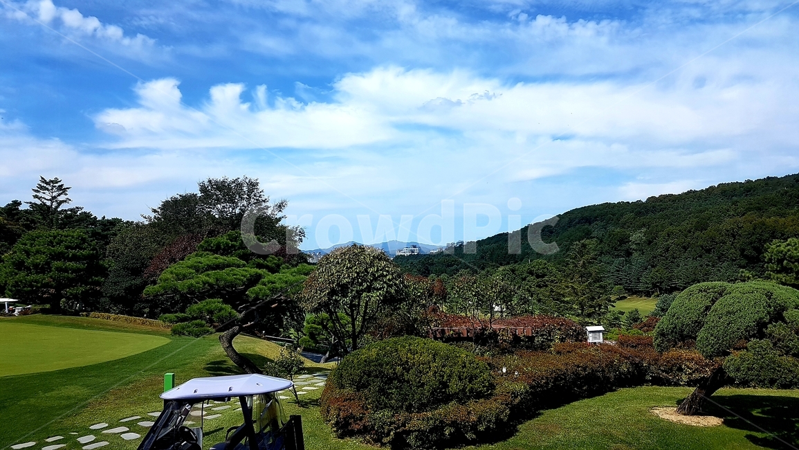 골프장,공원,그린,파크,park,자연,풍경,nature,landscape,outdoors,옥외