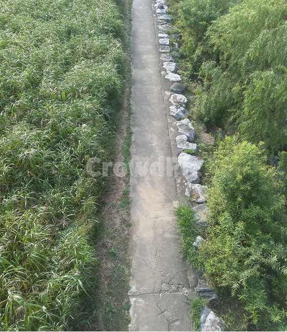 길,돌,숲,나무,풀,자연,풍경,nature,landscape