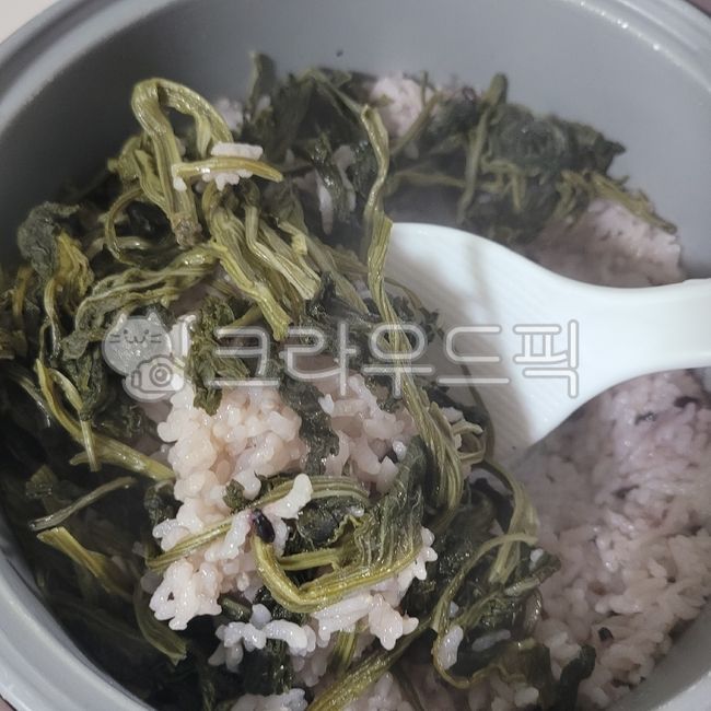 Herbs,spatula,vegetable rice,Gondre,Korean,plate,craw,rice,bowl,Gondrena water rice,food,meal,rice cooker,Gondrea,Gondre rice,dish