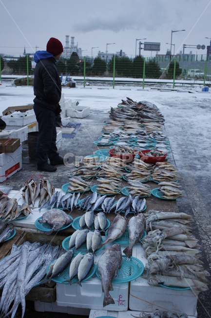 생선,겨울,생선장수,전통시장,오일장,수산물,해산물,fishery products,seafood
