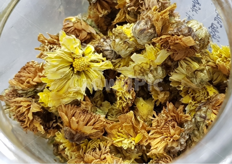 말린꽃,flower,꽃,국화꽃,드라이플라워,꽃차,flowertea,plant,식물,blossom