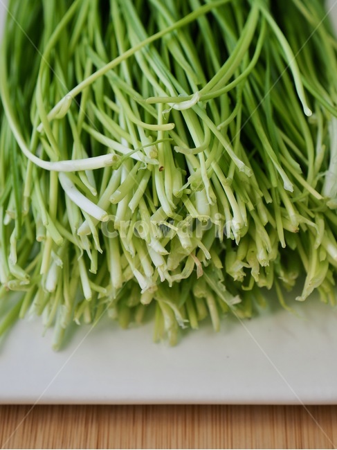 부추,유기농,유기농부추,채소,야채,음식,음식재료,녹색,chives,organic,organicleek,vegetable,food,foodingredients,green,음식,식재료,요리,food,cook,meal,dishes,food reserves,채소,야채,vegetables