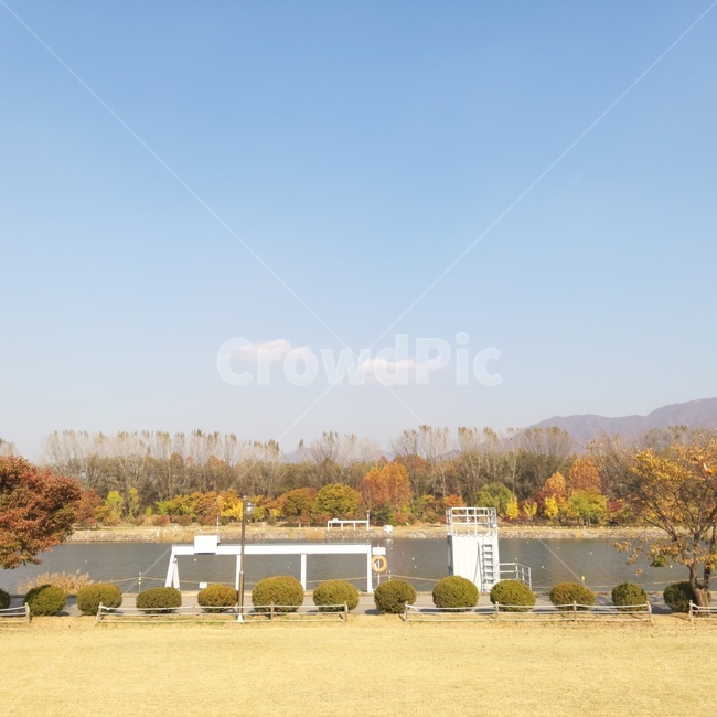미사리,가을,단풍,나무,tree