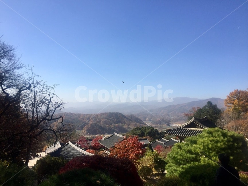 nature,자연,scenery,풍경,산,mountain,가을,아침