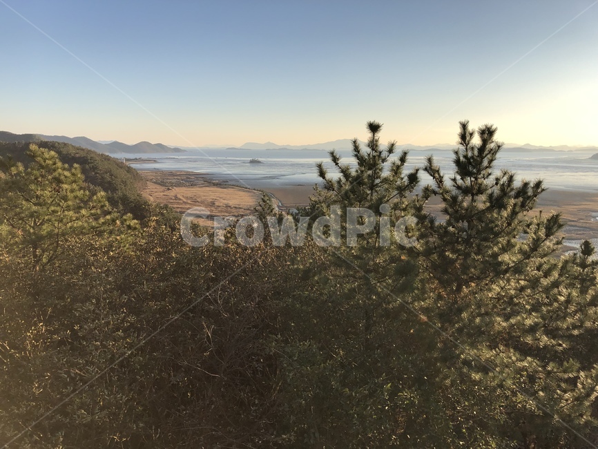 nature,자연,outdoors,옥외,겨울,winter,나무,tree,바다,순천만,맑음,자연,풍경,nature,landscape
