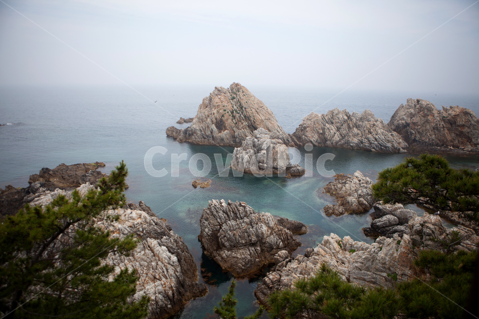 wave,nature,자연,outdoors,water,해안선,shoreline,ocean,sea,바다,암초,동해,삼척,장호항,바위,돌,rock,자연,풍경,nature,landscape
