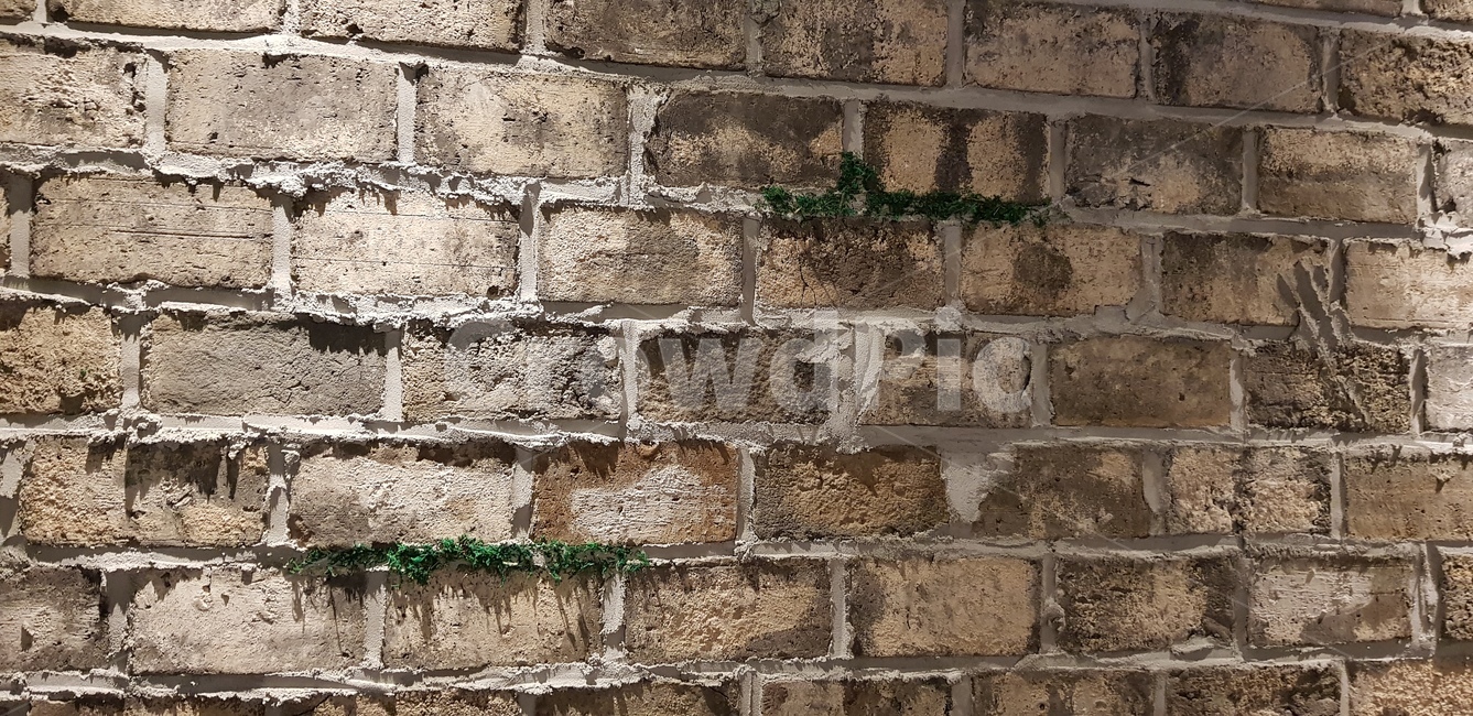 벽,벽돌,브릭,brick,wall,빈티지,vintage,vintagewall,빈티지벽