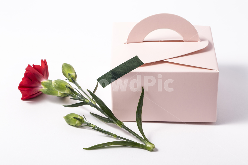 gift,Teachers day,family month,pink,In May,carnation,Box,Mothers Day,One bunch,flower,Red,thanks,gift box