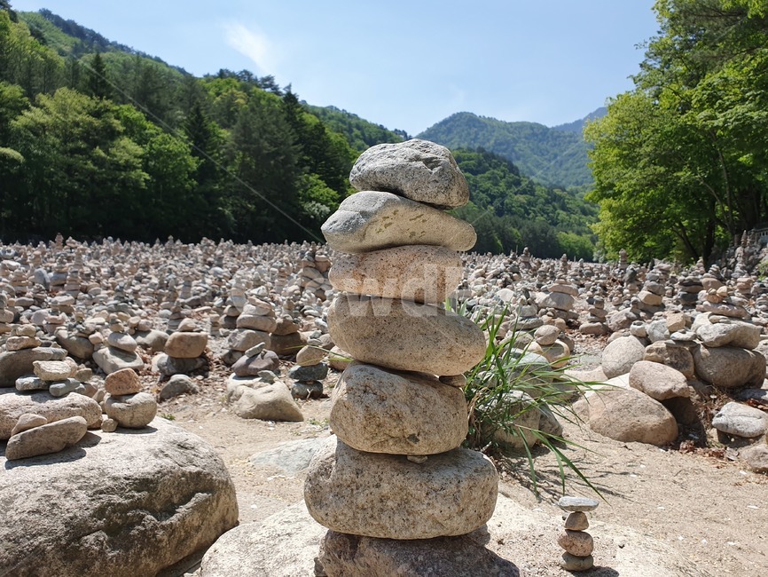 소원돌,돌탑,돌무더기,산,소원탑,청평사,소원,자연,땅,돌