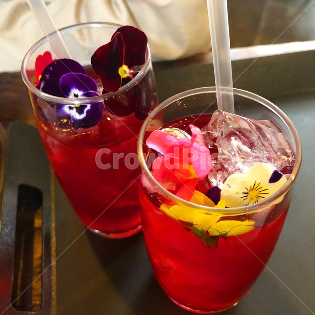 꽃,힐링,화려한,빨간색,얼음,음료수,drink,beverage