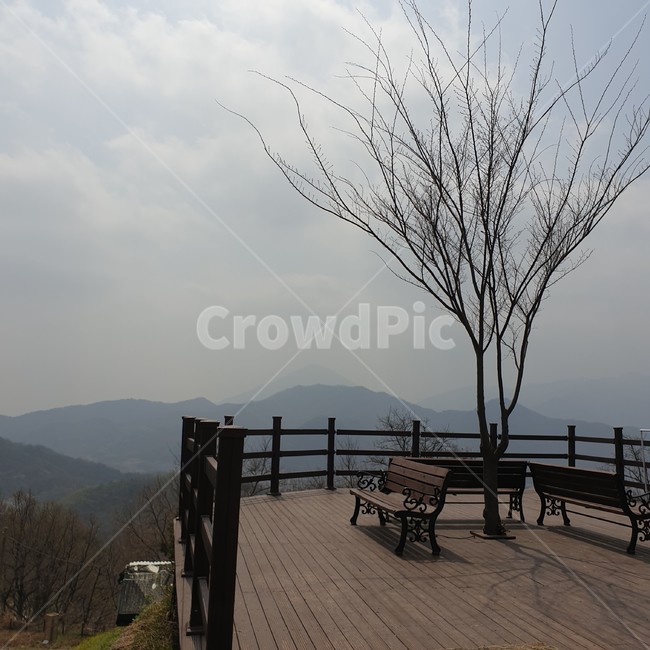 의자,나무,먹구름,데크,벤치,휴식,풍경,잎이없는나무,나홀로