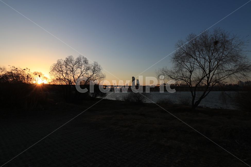 노을,석양,한강,역광,나무,sunset,backlight,hanliver,자연,풍경,nature,landscape,실루엣,그림자,silhouette,shadow,outdoors,옥외,sky,하늘,일몰,dusk,황혼,dawn,새벽,red sky,붉은 하늘,sunlight,햇빛,flare,플레어,light,빛