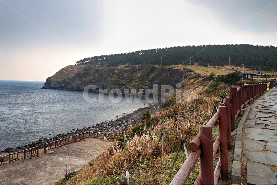 제주도,서귀포,송악산,송악산둘레길,nature,자연,옥외,outdoors,바다,해안선,연안,sea,ocean