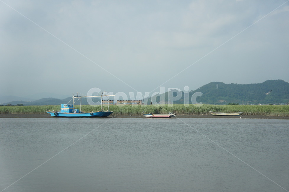 늪,강,들판,선박,어선,산,하늘,회색,흐림,파란색,파란,transportation,교통,vehicle,차량,boat,보트