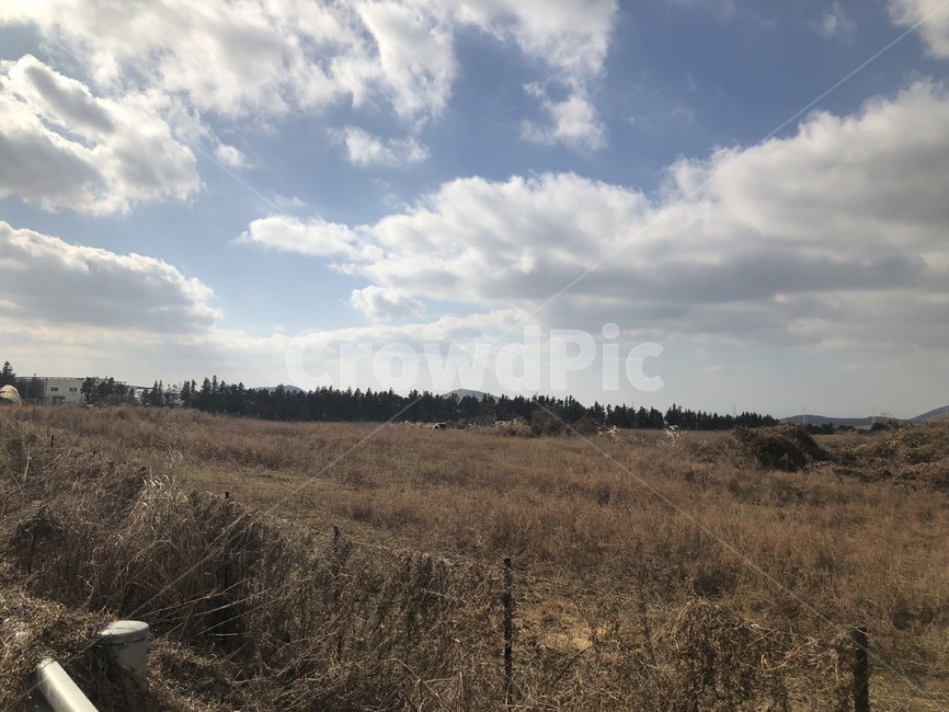 자연,풍경,하늘,구름,제주,자연,풍경,nature,landscape,ground,바닥