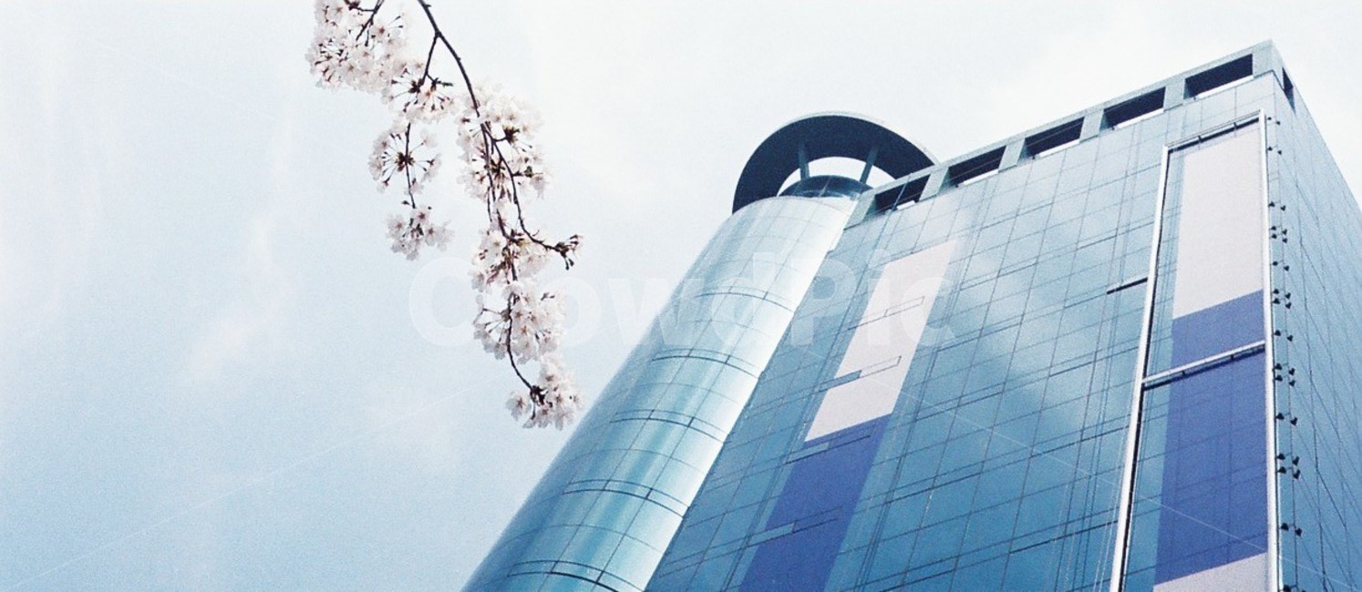 벚꽃,꽃,빌딩,건물,하늘,cherryblossoms,flower,buildings,sky,풍경,landscaper