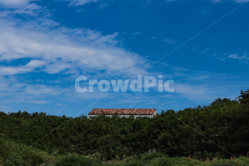 쓸쓸한,풍경,집,하늘,구도,lonely,house,sky