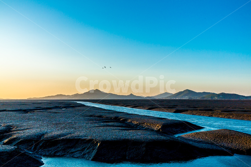 영종도,자연,환경,갯벌,문양,무늬,풍경,썰물,자연,풍경,nature,landscape,한국자연풍경,한국자연경관,korea nature landscape,outdoors,옥외,land,땅