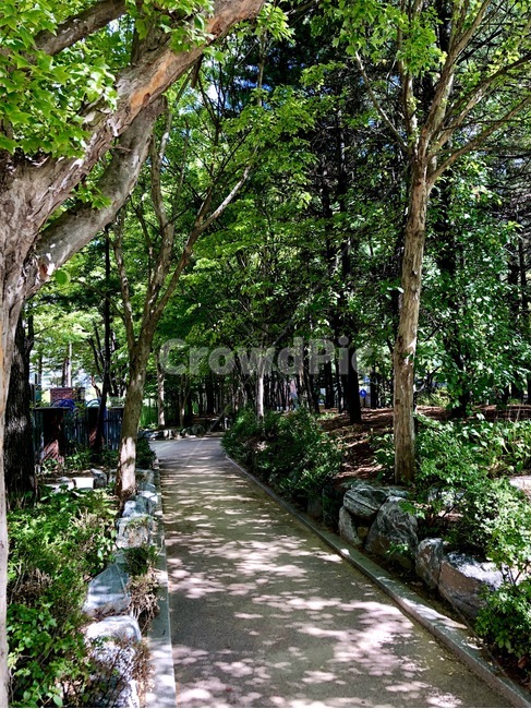 가로수길,가을,초록,한적한길,고요한,자연,풍경,nature,landscape,garden,정원,outdoors,옥외,arbour,정자