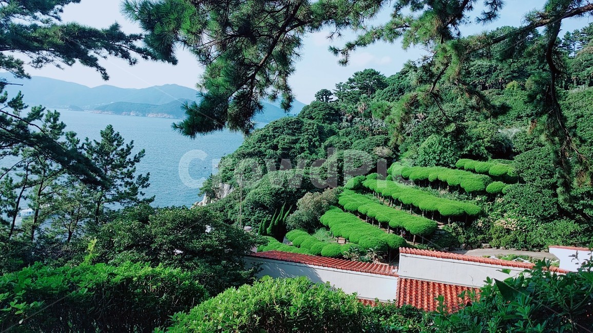 나무,자연,푸른,배경,마음의안정,자연,풍경,nature,landscape,vegetation,초목,plant,식물,outdoors,옥외,land,땅,scenery,rainforest,열대 우림,tree,경치