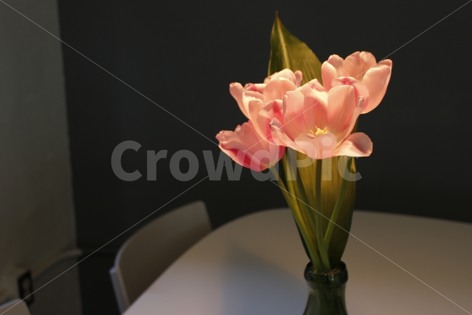 꽃,화분,조명,카페,맛집,인테리어,핫플레이스,감성,flower,cafe,interior,spotlight,식물,자연,plants,nature,인테리어,실내디자인,interior design,감성,sensible,feeling,꽃,flower