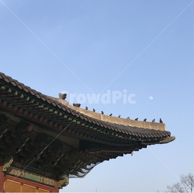 덕수궁,궁,풍경,처마,경복궁,한국전통,한국문화,korean traditional,korean culture,건축물,건물외관,exterior,building,structure,architecture,construction