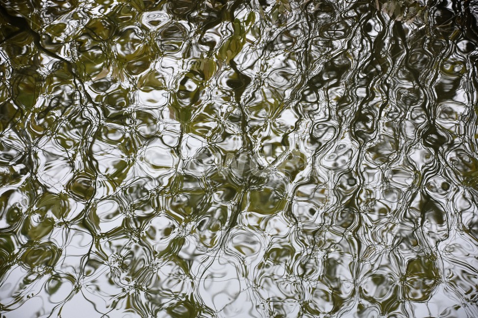 물무늬,연못물,수면촬영,투영,수면무늬,자연,풍경,nature,landscape,water,물,outdoors,옥외