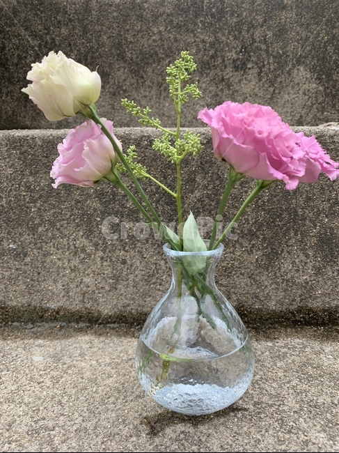 화분,꽃,꽃꽂이,흰색꽃,분홍색꽃