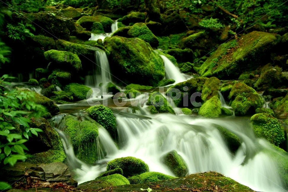 평창,장전리,이끼계곡,물,안개,자연,풍경,nature,landscape,water,outdoors,옥외,river,강