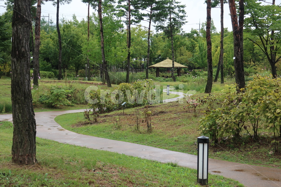 서울,창포원,식물원,도시,공원,습지,조성,숲,산책,산책로,자연,풍경,nature,landscape