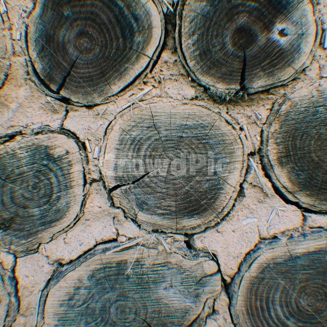 벽,흙벽,나무,흙,통나무,시골,식물,자연,plants,nature,나무,trees,wood