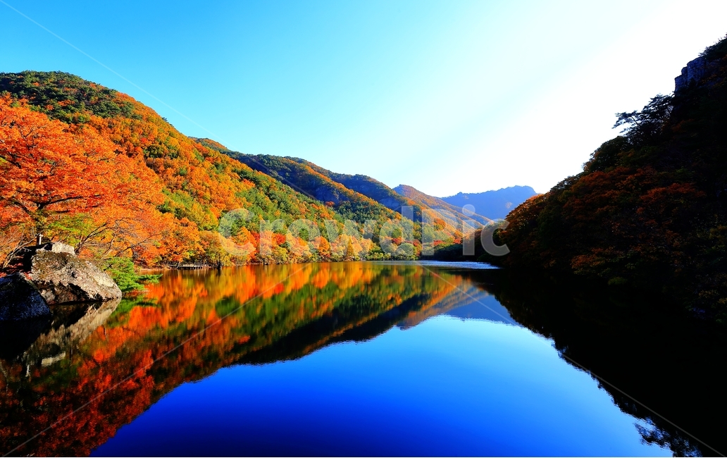 주산지,청송,아침,가을,단풍,가을,계절,fall,autumn,season,자연,풍경,nature,landscape,한국자연풍경,한국자연경관,korea nature landscape,outdoors,옥외,mountain,산,water,물