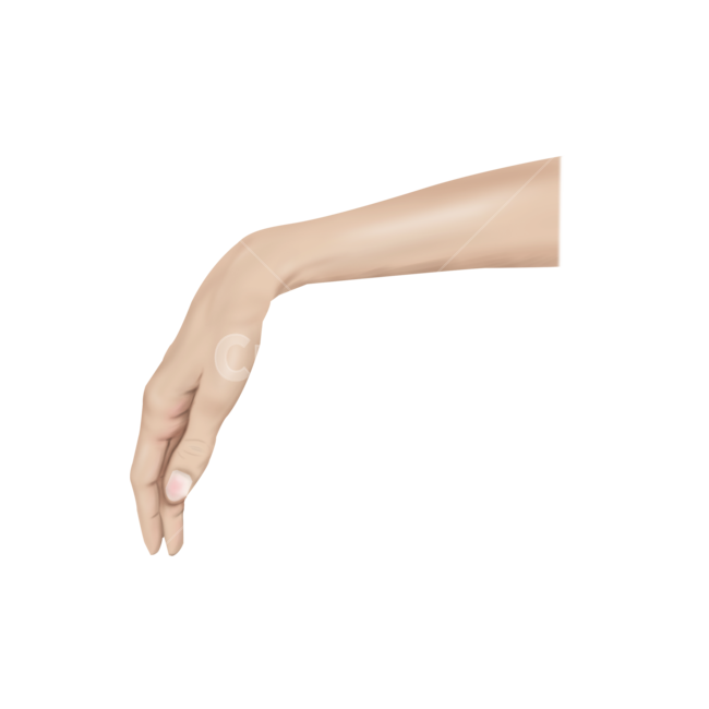 메디컬,medical,png,일러스트,메디컬일러스트,요골신경,마비,요골신경마비,병증,신경,염증,증상,손목하수,wristdrop,누끼,remove background