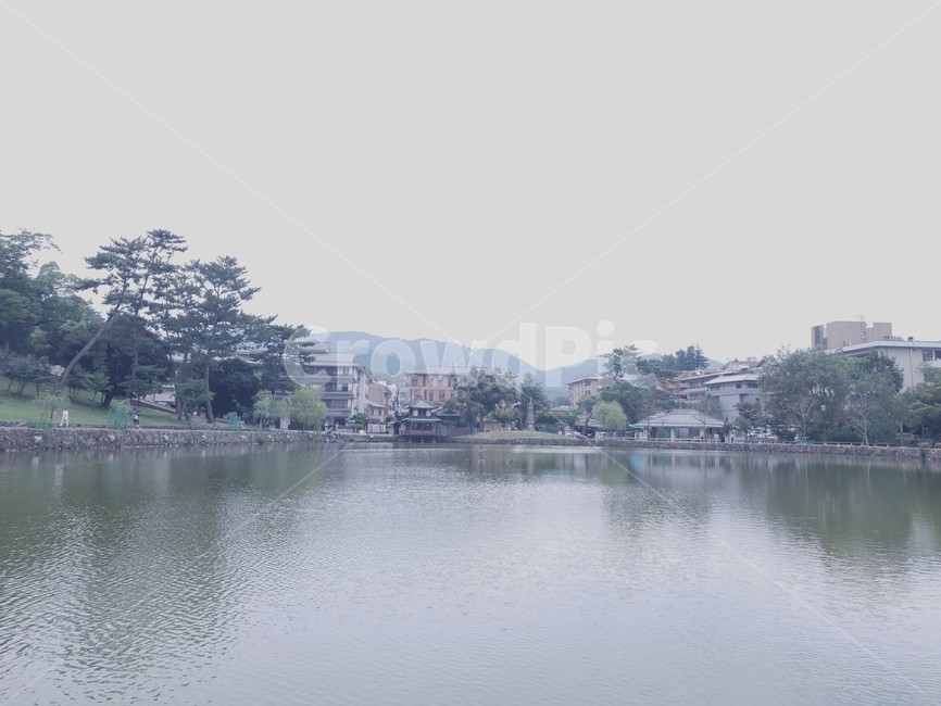 일본,일본거리,일본풍경,나라,나라거리,나라풍경,호수,water,물,nature,자연,outdoors,옥외