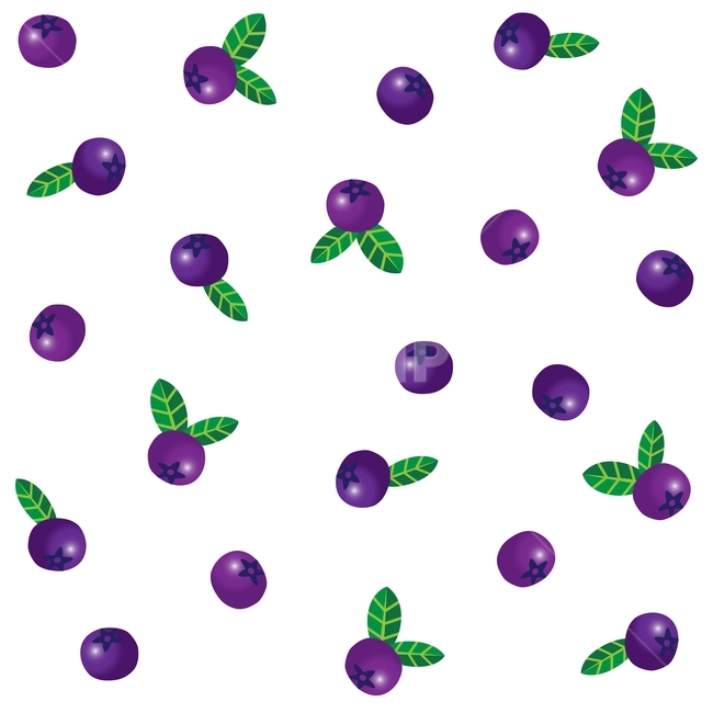 패턴,블루베리,pattern,fruit,과일,새콤,달콤,녹색,다이어트,건강식품,맛,음식,푸드,food,먹거리,열매,blueberry,나무열매,안토시아닌,식이섬유,항산화식품,보라색,purple,잎새,배경,바탕,백그라운드,background,그래픽,일러스트레이션,graphic,illustration,텍스처,질감,패턴,texture,pattern