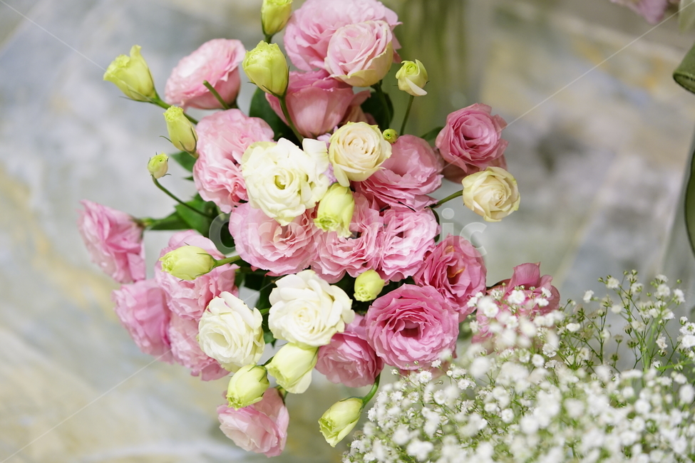꽃,플라워,꽃잎,장식,인테리어,데코레이션,감성,flower,뷰리풀,꽃,flower