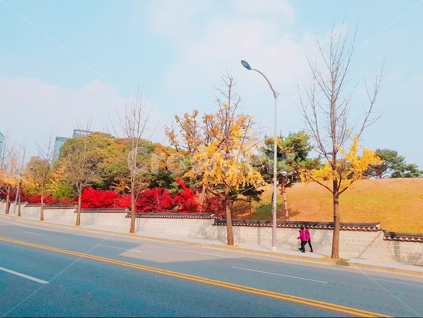 가을풍경,낙엽,산책,가을거리,단풍,데이트,가을,계절,fall,autumn,season,도시,풍경,city,landscape,한국도시풍경,한국도시경관,korea cityscape,road,도로,asphalt,아스팔트,freeway,고속 도로