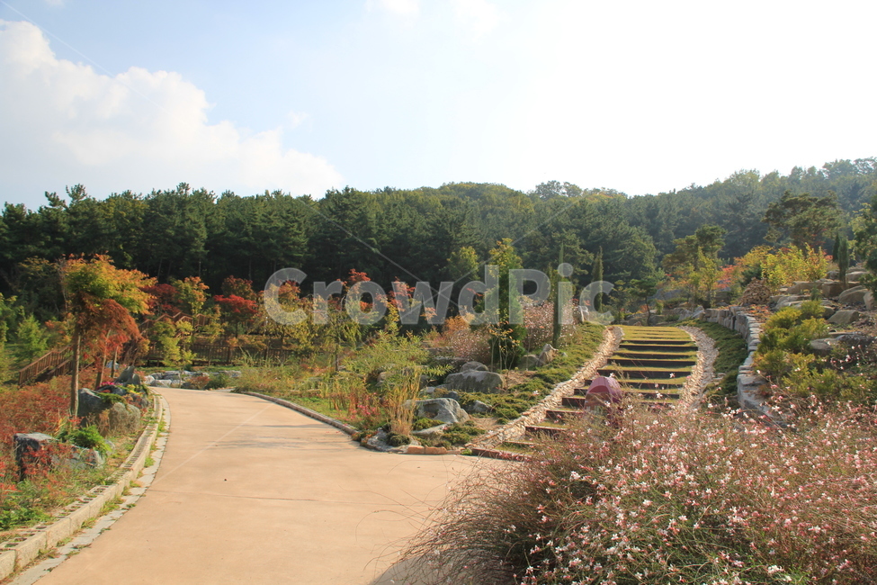 garden,정원,길,전망대,가을풍경,가을,계절,fall,autumn,season,outdoors,옥외