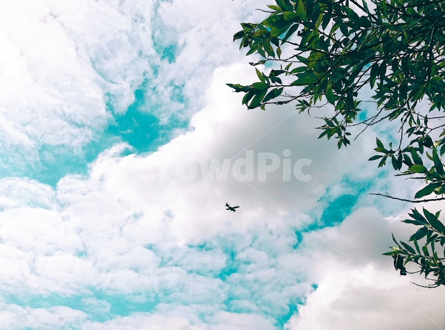 감성사진,배경화면,아이폰사진,풍경,자연,하늘,비행기,구름,자연,풍경,nature,landscape,교통,교통수단,traffic,transportation