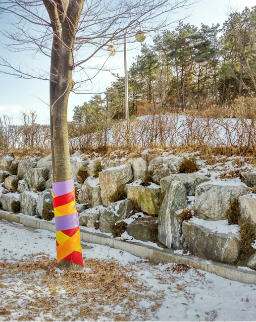 겨울,나무,추위,winter,가로수,식물,자연,plants,nature,나무,trees,wood