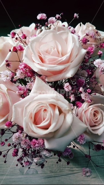 꽃,꽃부케,blossom,꽃꽂이,rose,식물,장미,핑크장미,꽃다발