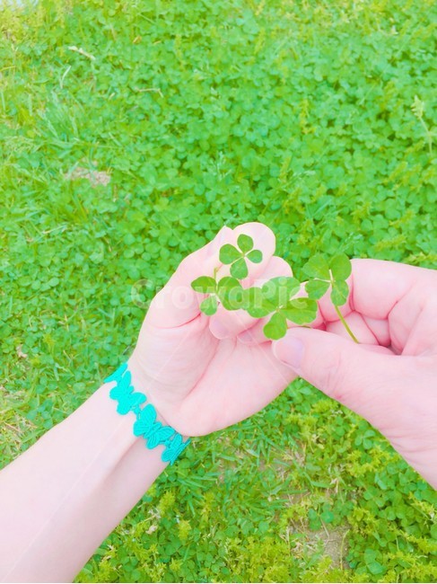 plant,식물,leaf,잎,클로버,네잎클로버,행운,clover,lucky,fortune,fourleafclover,green,녹색,푸른색,색감,color,식물,자연,plants,nature,신체일부,몸,body