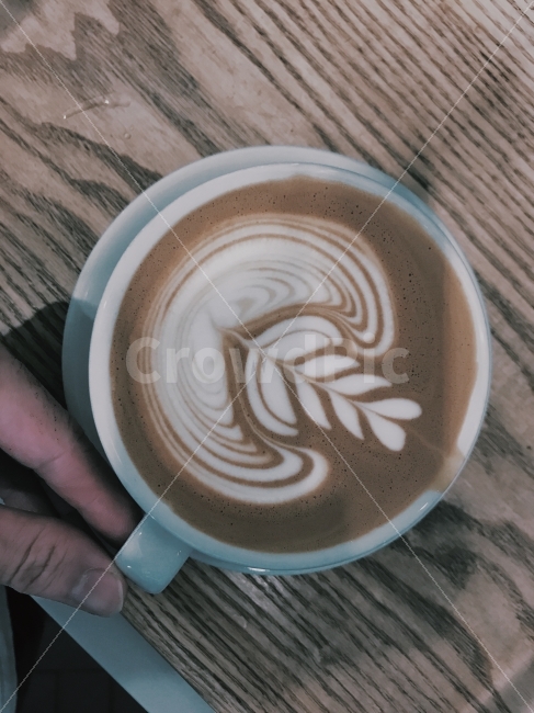 카페,커피,카페라떼,라떼아트,튤립,커피,카페,coffee,cafe