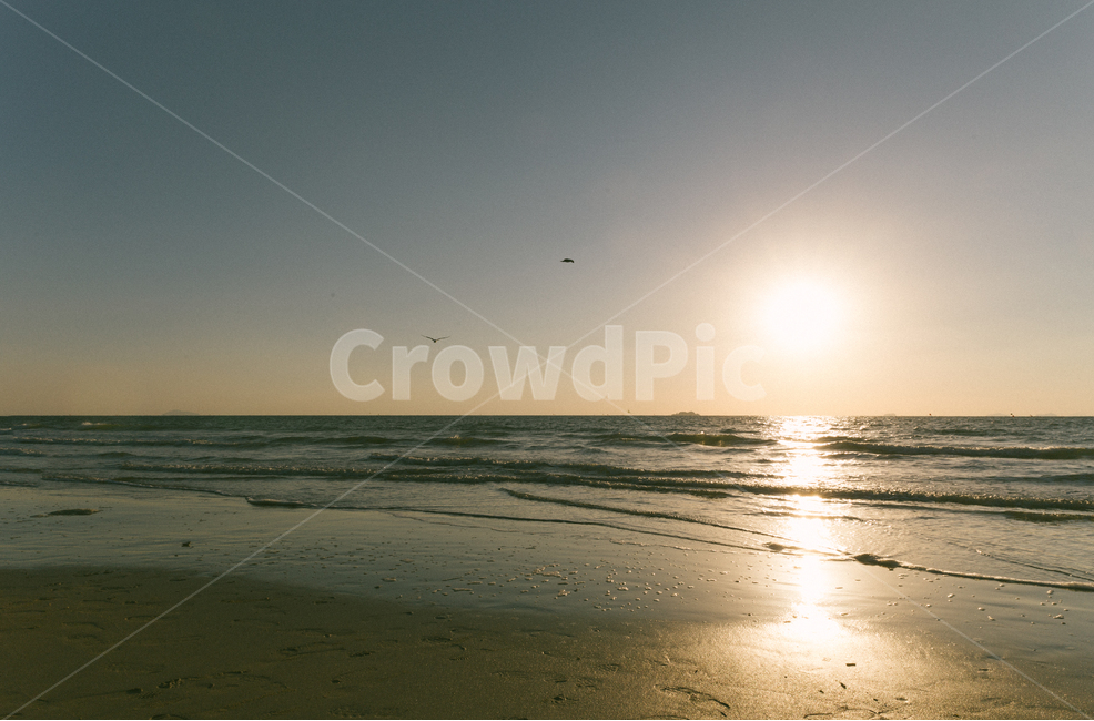 노을,갈매기,감성,바다,대천해수욕장,자연,풍경,nature,landscape,해변,바다,beach,sea,flare,플레어,light,빛,outdoors,옥외,sunlight,햇빛