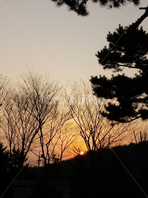 일몰,햇빛,석양,자연,옥외,빛,outdoors,nature,light,sunlight,붉은하늘,황혼,sunset