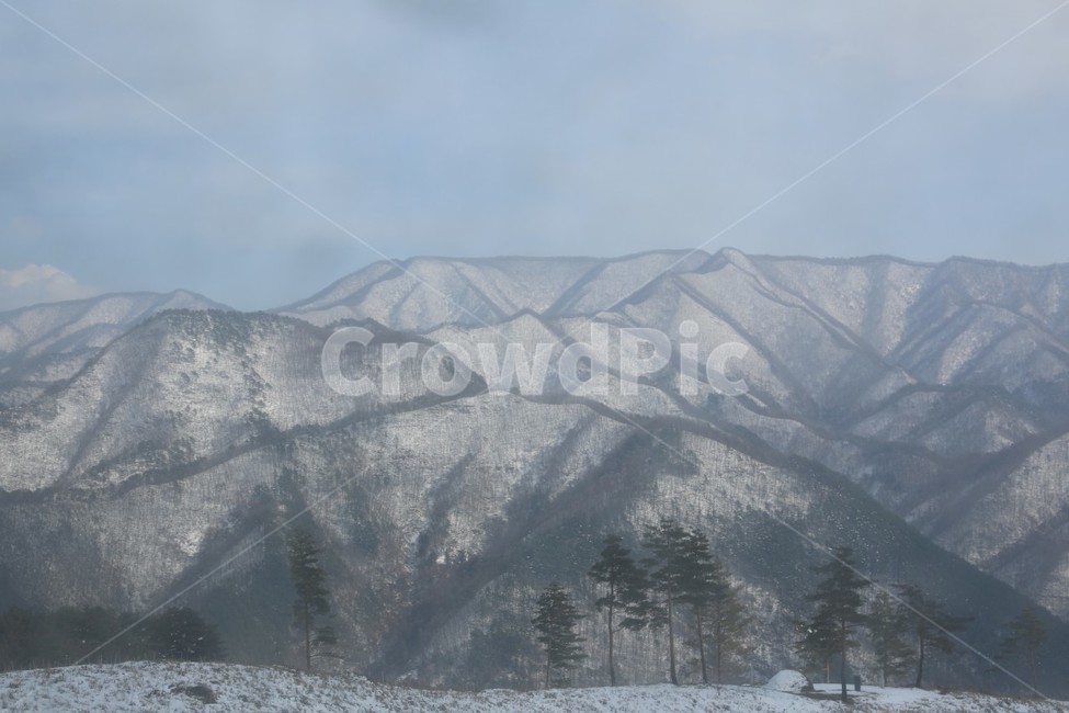 덕항산,설경,봄눈,백두대간,삼척설경,겨울,계절,winter,season,자연,풍경,nature,landscape,한국자연풍경,한국자연경관,korea nature landscape,outdoors,옥외,mountain,산,mountain range,산맥,slope,경사