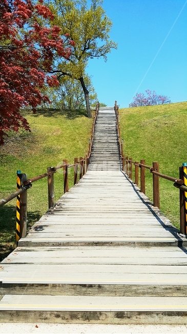 계단,산책로,다리,boardwalk,공원