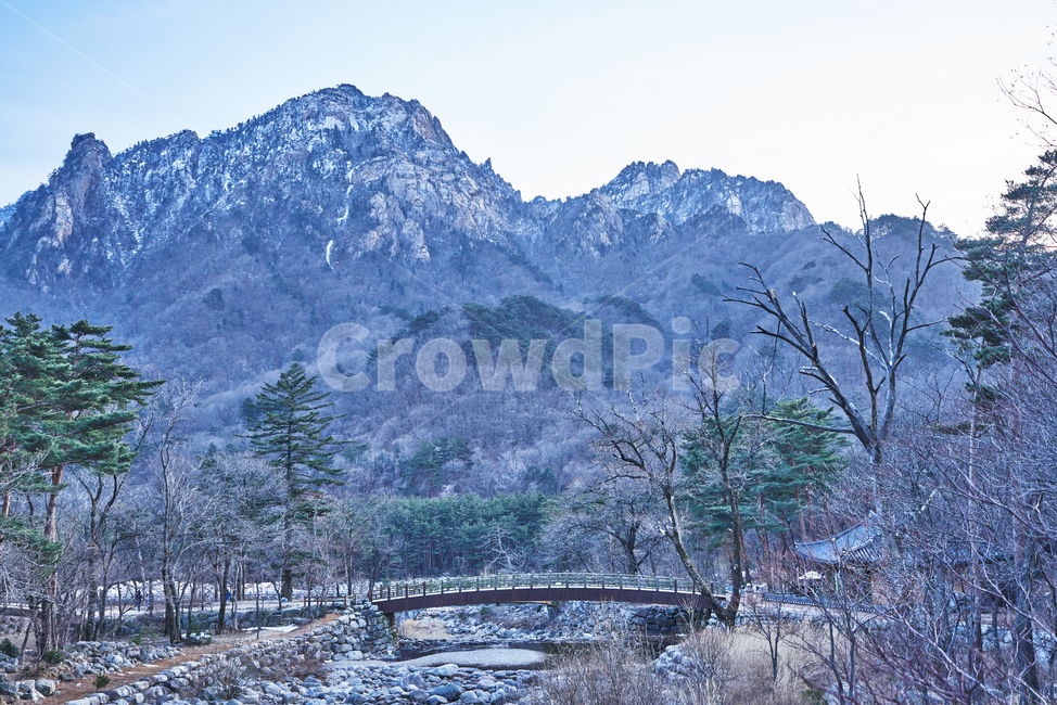 산,설악산,하늘,바위,봉우리,눈,다리,소나무,국립공원,풍경,자연,풍경,nature,landscape,한국자연풍경,한국자연경관,korea nature landscape,outdoors,옥외,mountain,tree,나무,plant,식물,mountain range,산맥,abies,아비,fir,전나무