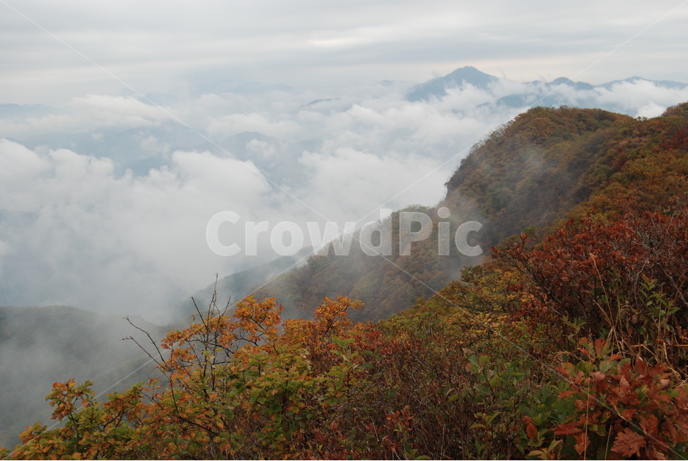 축령산,가을,휴양림,탐방로,한국명산,자연,풍경,nature,landscape,한국자연풍경,한국자연경관,korea nature landscape,outdoors,옥외,weather,날씨,mountain,산,mountain range,산맥
